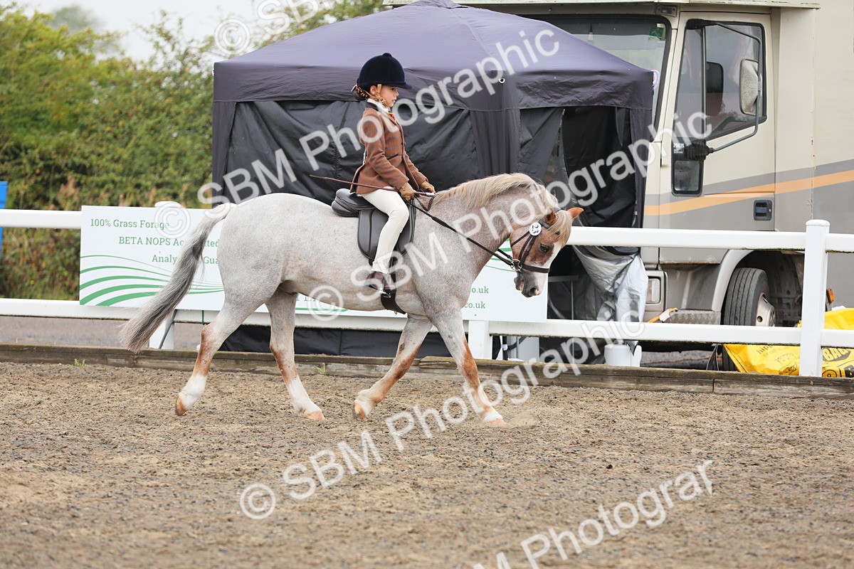 SBM_21729 - Class 806 - Young ridder 10 Yr & Under