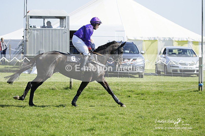 PtP 190322 276 - Wilton Hunt PtP Milborne St Andrew 19/03/22