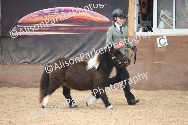 20251109-0266 - Class 11 - 2 and 3 Year Old