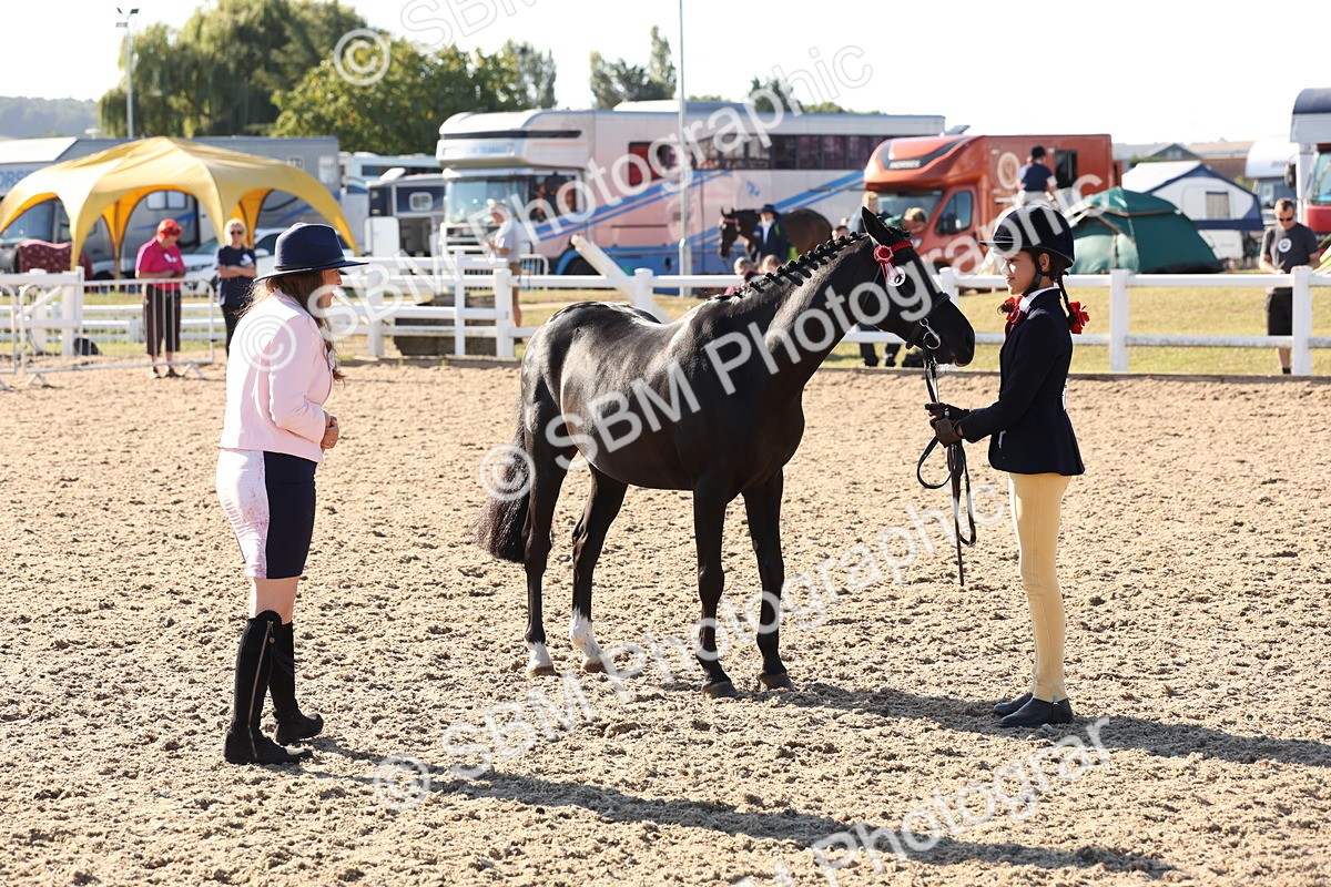SBM_11687 - Class 203 - Young Handler 11 to 16 years