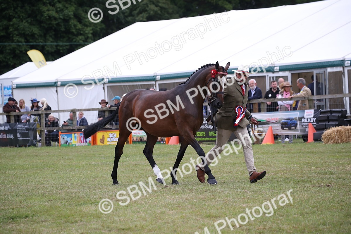 SBM_09840 - Ch 50 - Price Family Supreme In Hand