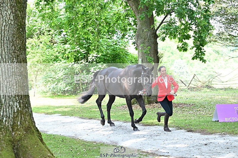 250521A-151417-00358 - B-304-Katie.Magee-CUSHLAS.INDIGO