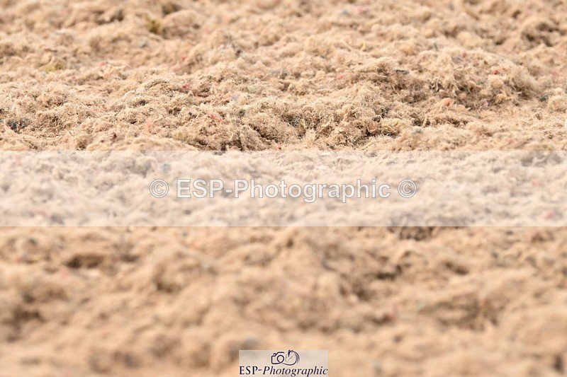 240622A-182303-15556 - Cls 7B+C Elementary 44 RoR