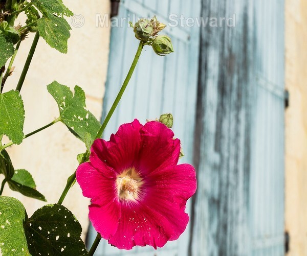 Bourg-30 - Bordeaux and nearby, France