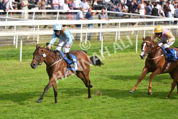 yr09072021r7-18 - Race 7 5.30pm William Hill Extra Place Races Stakes