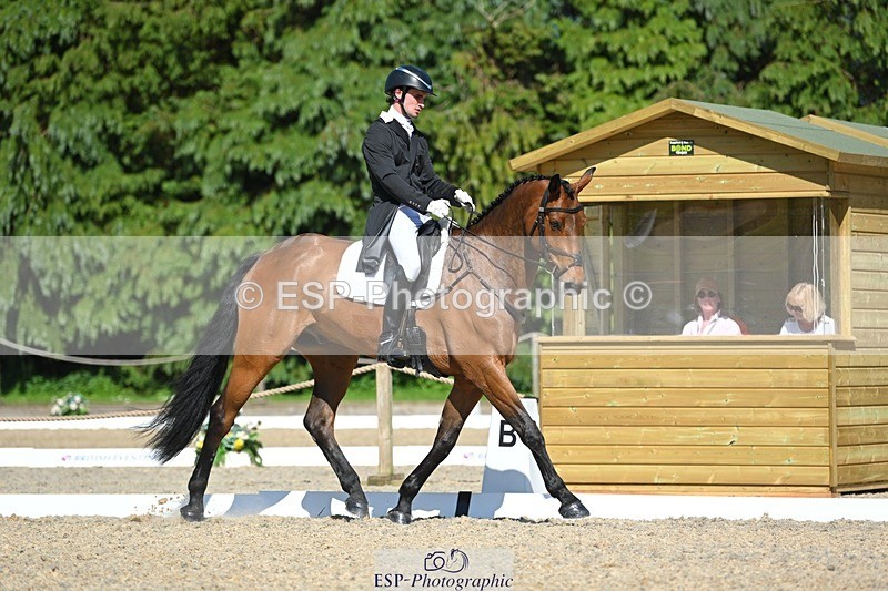 230526-161739-07325 - 255-HI_MR_HENRY-Henry_Hobby-WEDTrotUp+DR