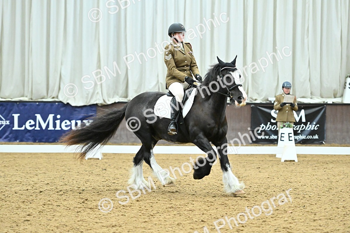 SBM_007461 - Class 81 - Novice 3