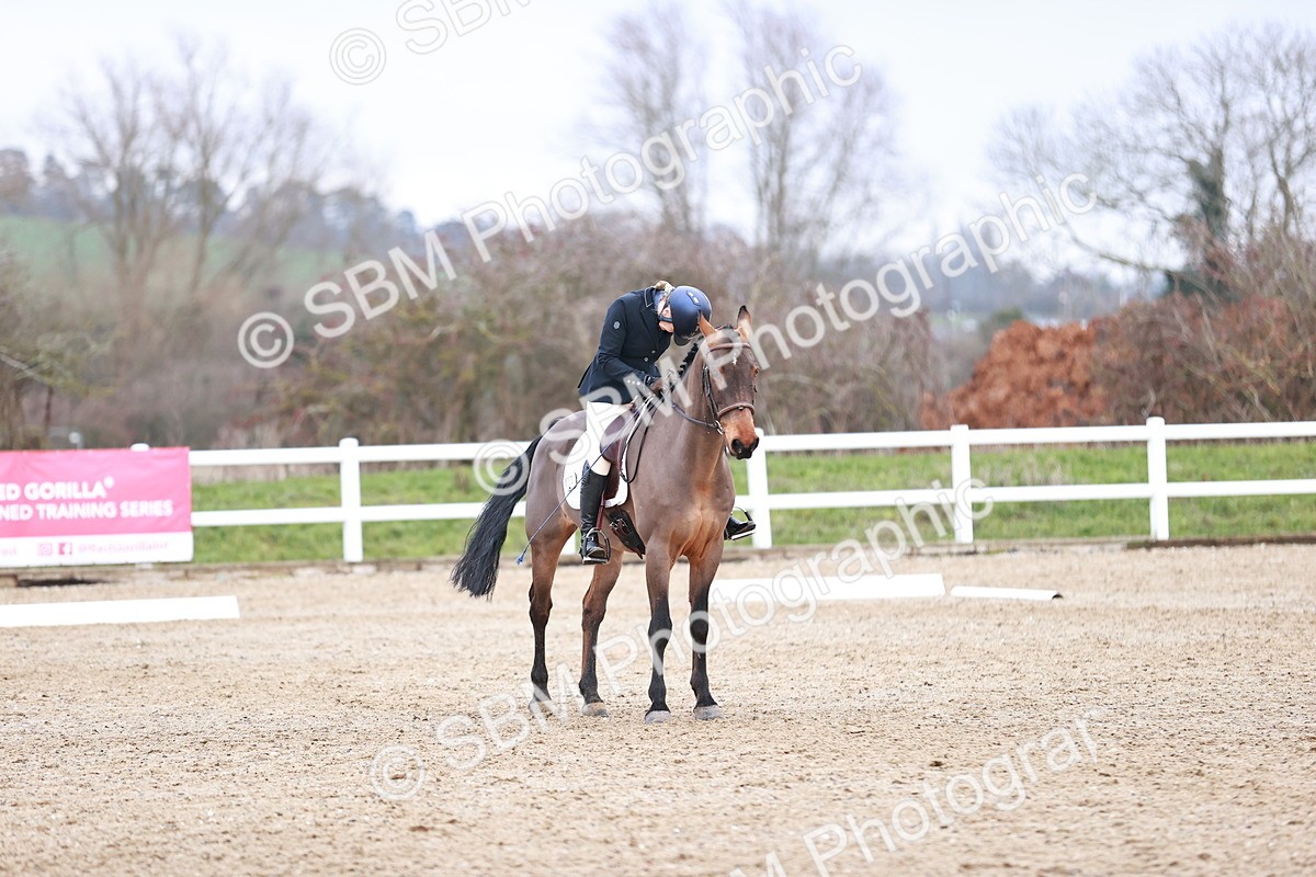 SBM_005320 - Elementary 1