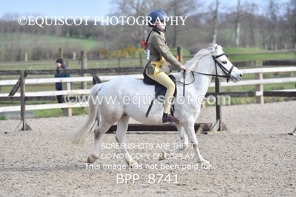 BPP_8741 - TRAINING STAKES