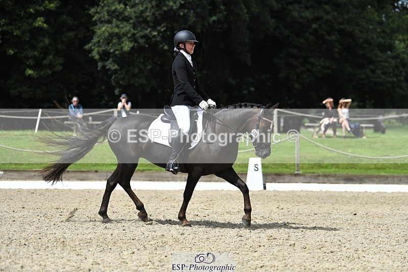 230812-121430-04069 - Cls 6 Novice Silver 12.10 to End