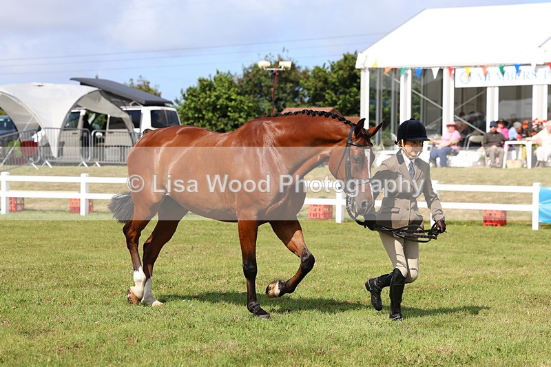 3E7A9567 - Class 4: Rising Star M/H Hunter