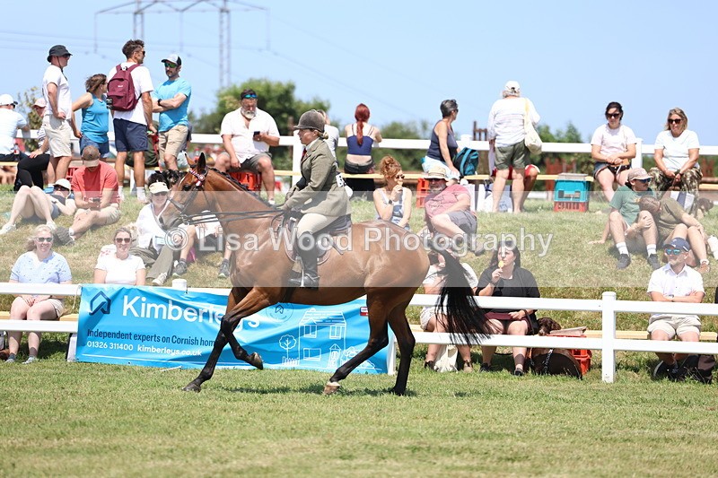 3E7A9340 - Class 12: Open Racehorse to Show Horse