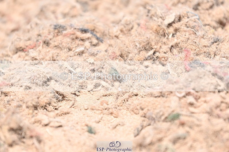 240621A-130905-03264 - Cls 10 BD Medium 69