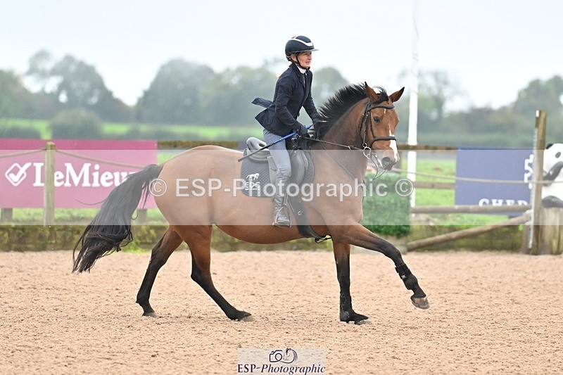 251003-113126-00473 - Cls 2 Newcomers and 1.10m