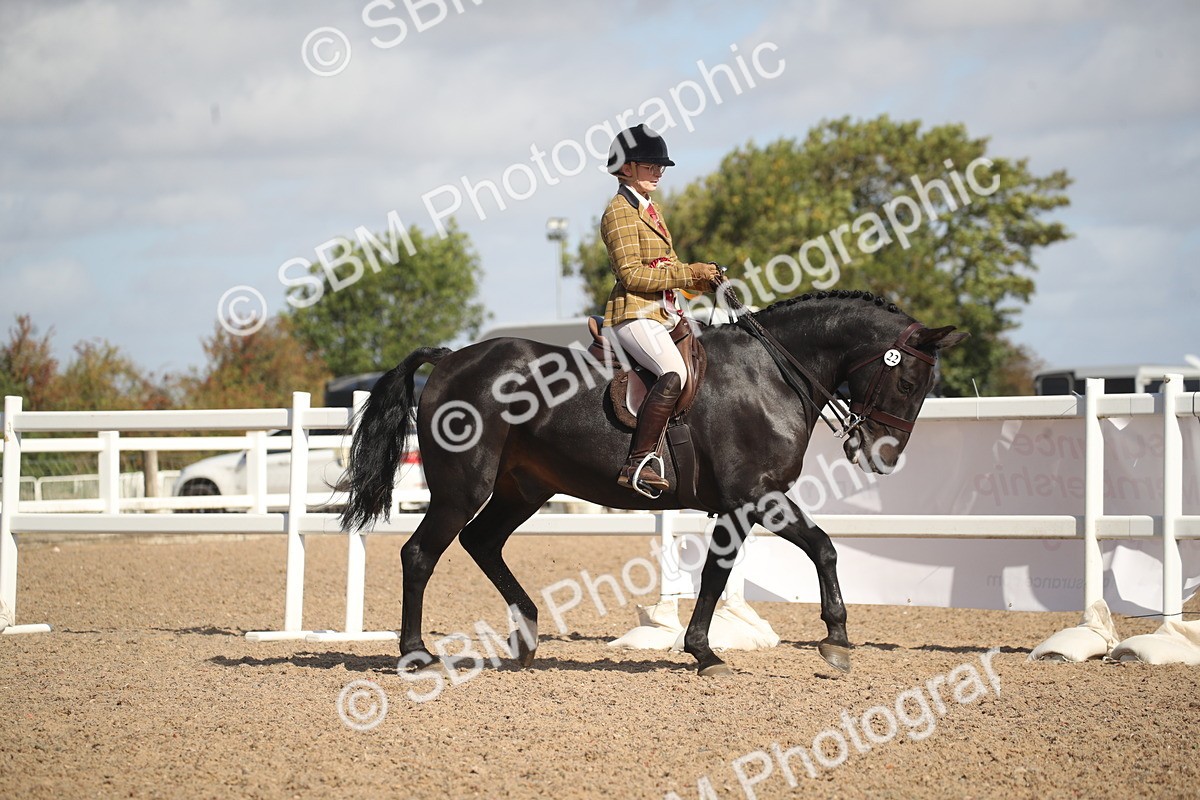 SBM_22890 - Class 602 - 2026 Area - Ridden Veteran