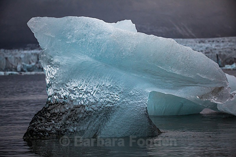 Iceberg 8979 - Trip with MS Expedition August 2016