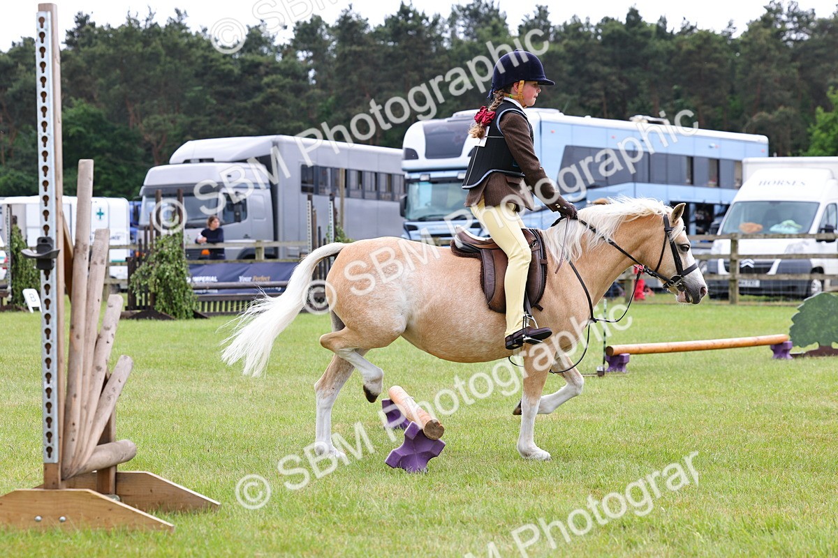 SBM_08586 - Class 42-43 - LIHS BSPS Heritage Working Sports Pony