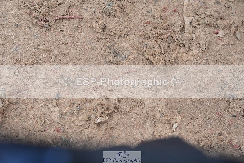 260315-132821-06297 - Cls 36 1.05m Amateur Quali