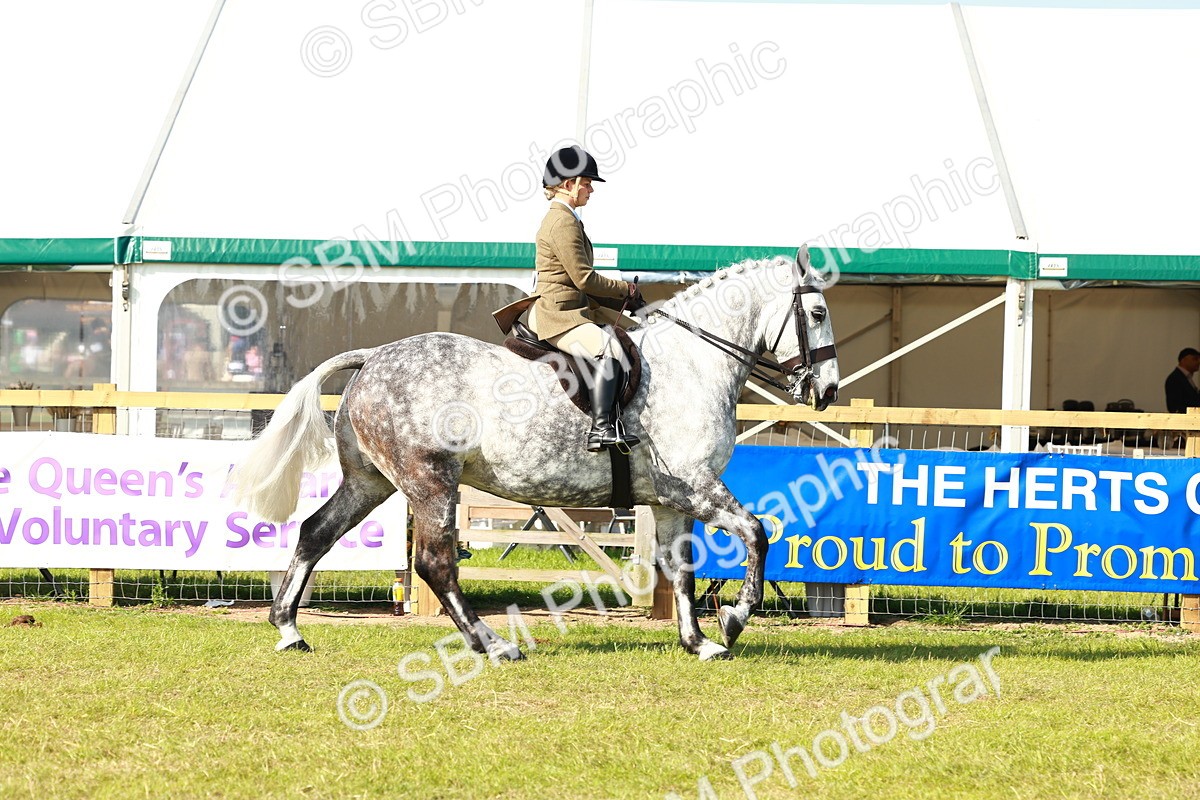 SBM_11760 - Class 66-69 - RIHS Ridden Hunters Inc Small Hunter