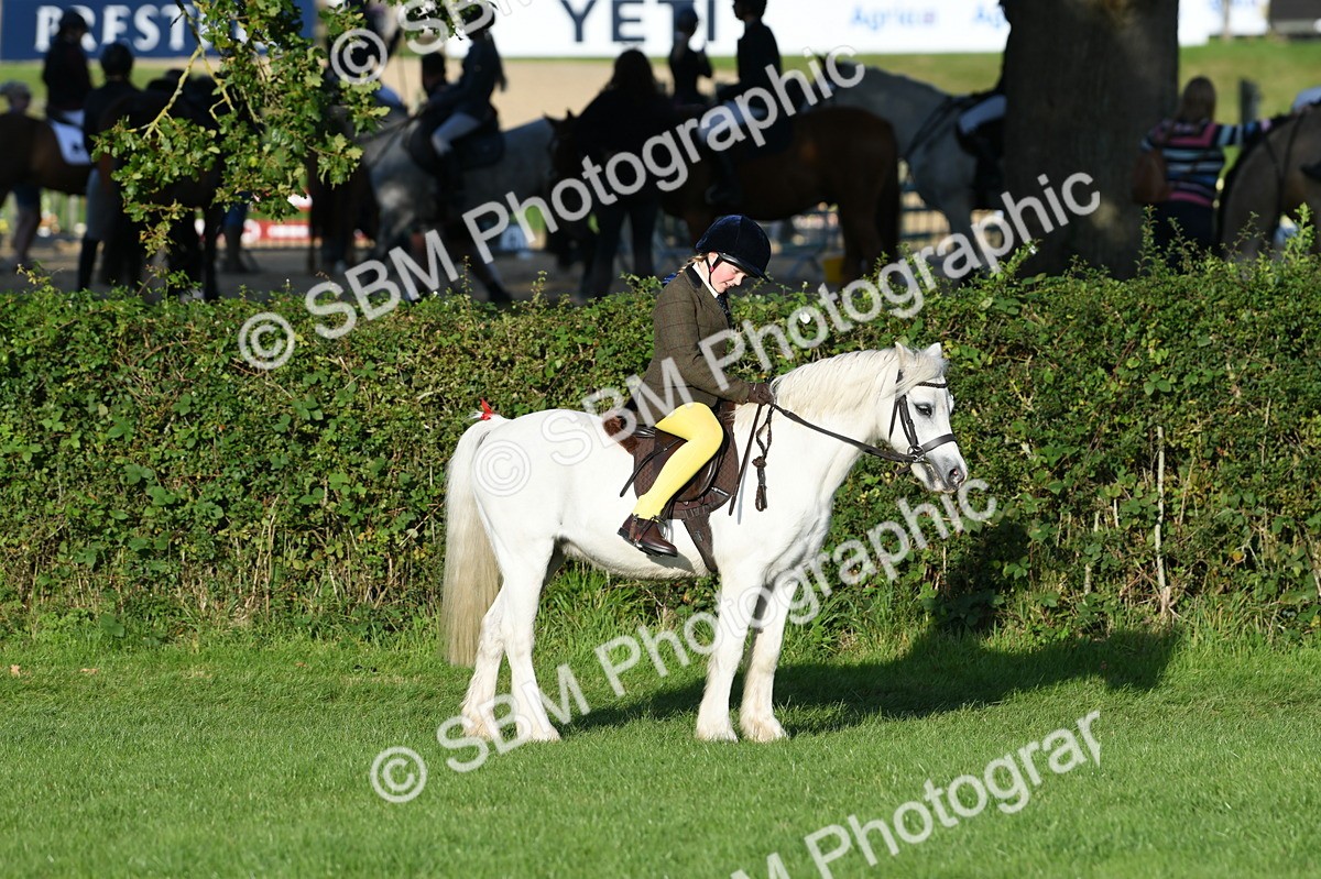 SBM_54090 - S23 - 1st Ridden Mountain & Moorland Pony