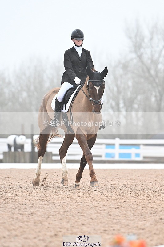 240217A-095216-00462 - 123-Daisy.Hedges-Felicia.v