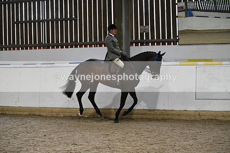 WJ7_3890 - Class 17 Ridden Cob