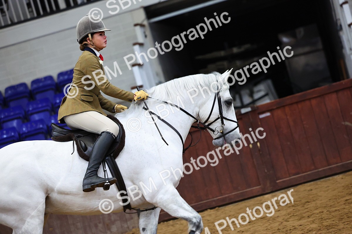 SBM_006625 - Class 43 - RIHS Qualifier Exceeding 43cms