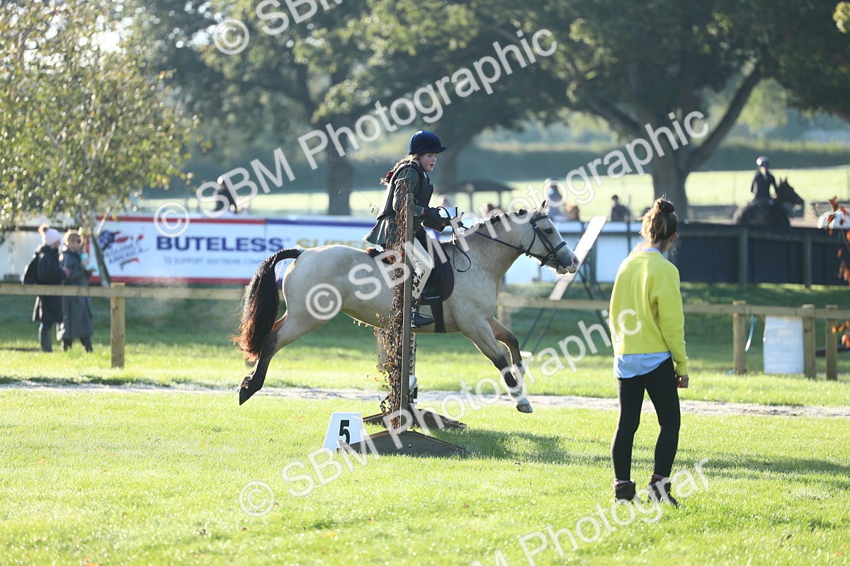 SBM_31847 - S28 - Nursery Stakes Working Hunter Pony