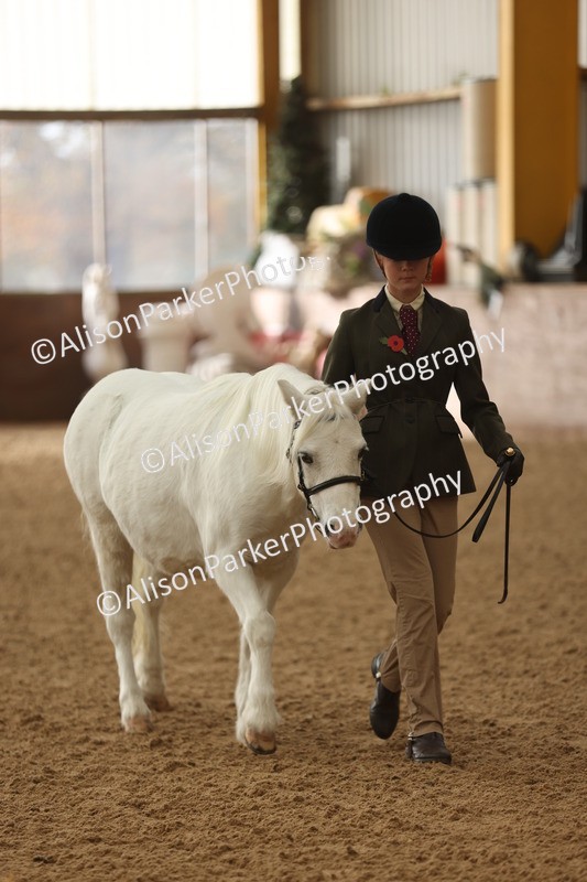 20251109-0559 - Class 21 - Mares 4 Years and over