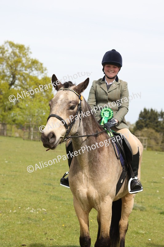 20260426-4438 - Class 34 - Best Riding Horse Over 14.2hh