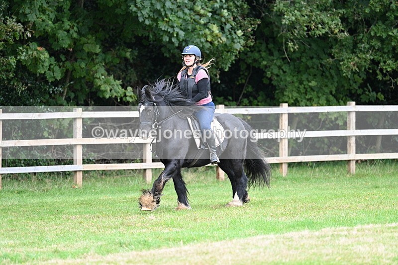 WJ7_7877 - 40cm Time 10:49 to 11:18