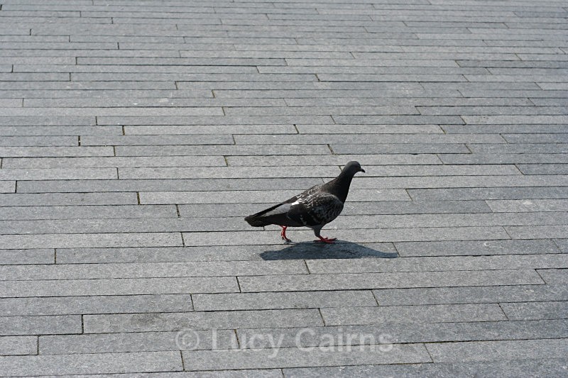  - London