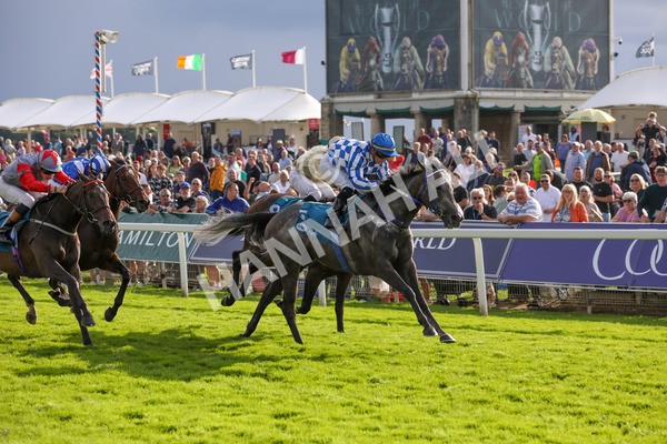250823-Race 7-Silver Sword-5984 - Race 7 5.15pm Sky Bet Mile Handicap