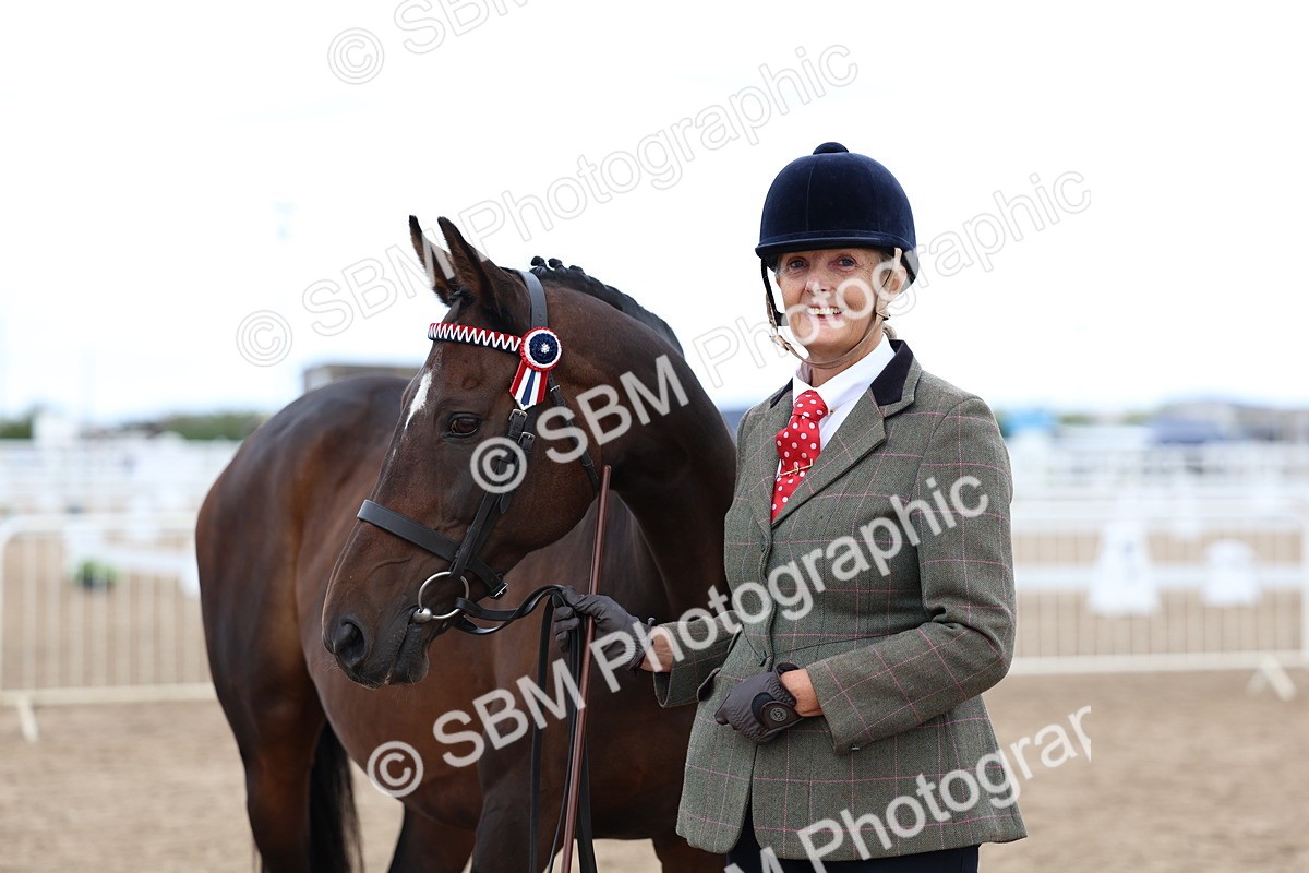 SBM_05092 - Class 27 - IH Competition Horse or Pony