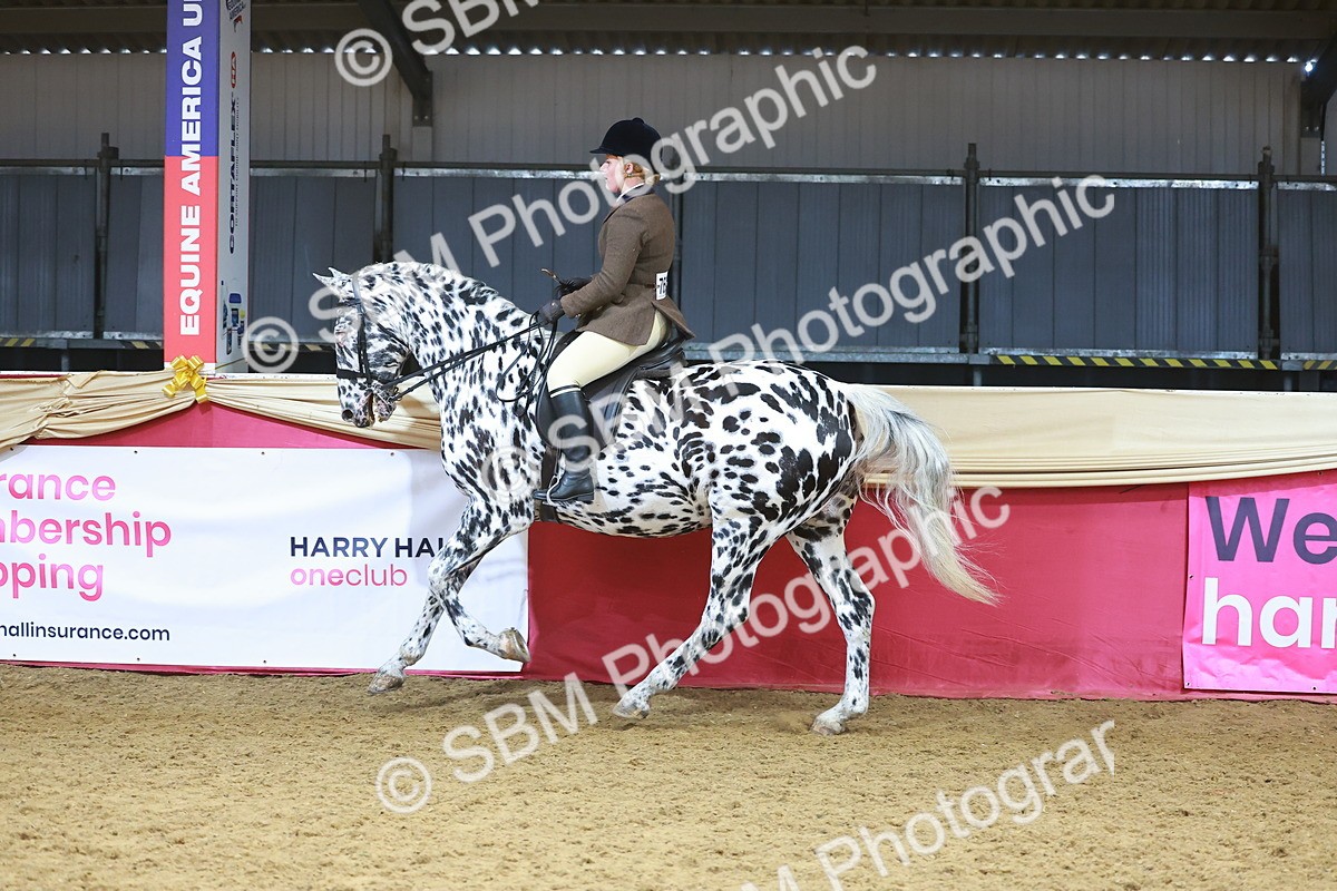 SBM_12489 - Class 103 - HOYS Veteran Qualifier - Ridden Pre Vet