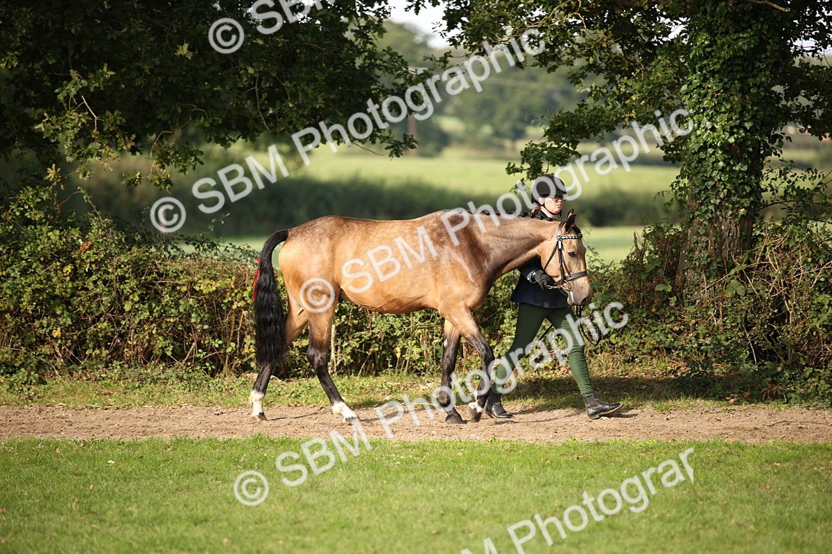 SBM_60053 - S53 - Hunter In Hand