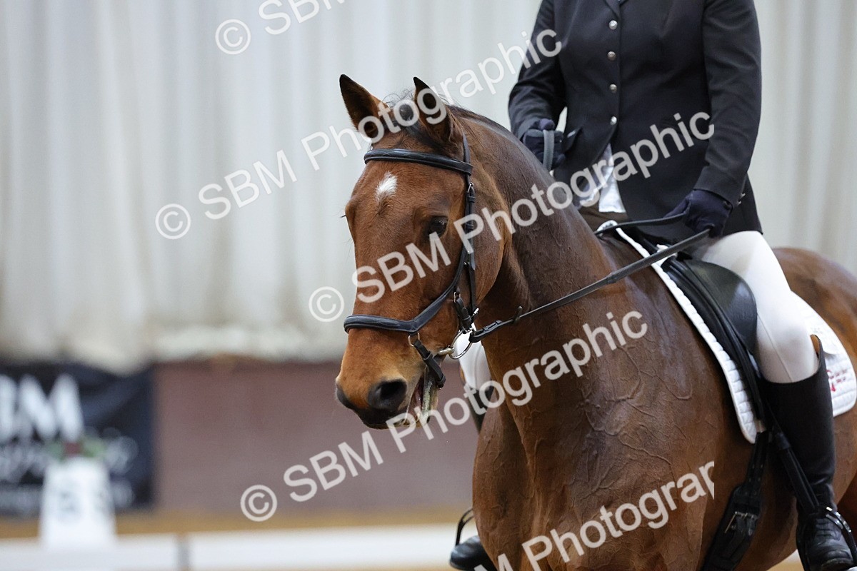 SBM_001017 - Novice