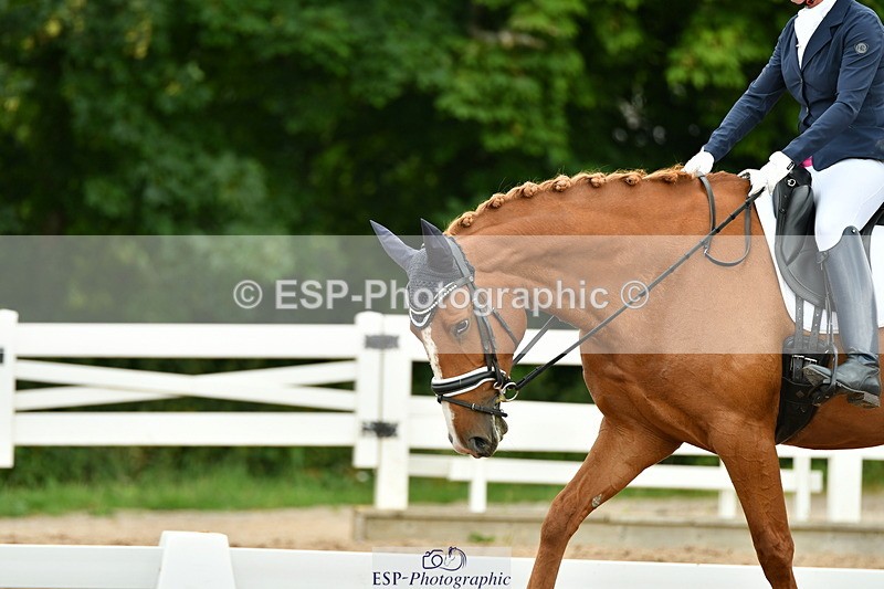 230702A-114804-09076 - Cls 33 Music Medium