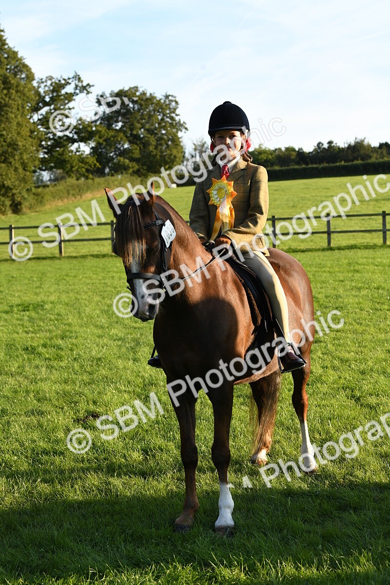 SBM_54175 - S23 - 1st Ridden Mountain & Moorland Pony
