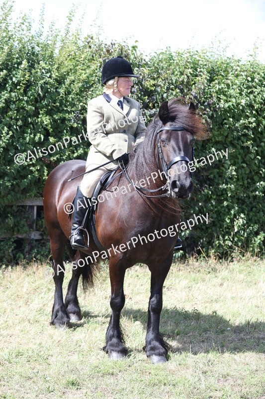 20250831-2987 - Class 19 - Mountain and Moorland