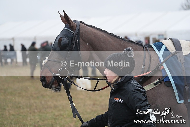 PtP 260125 136 - Cocklebarrow Point-to-Point racing with the Heythrop Hunt 26/01/25