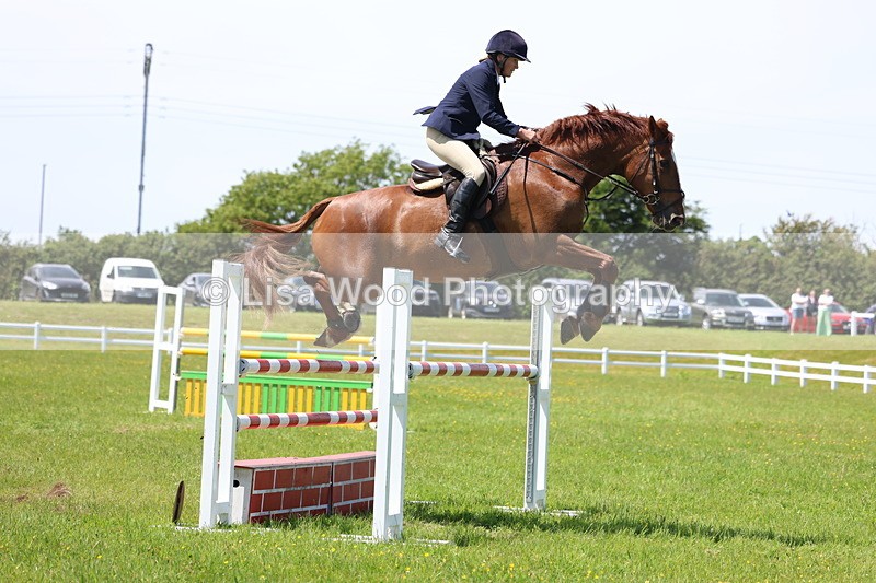 3E7A1258 - Class 12: Senior Foxhunter/1.20 open