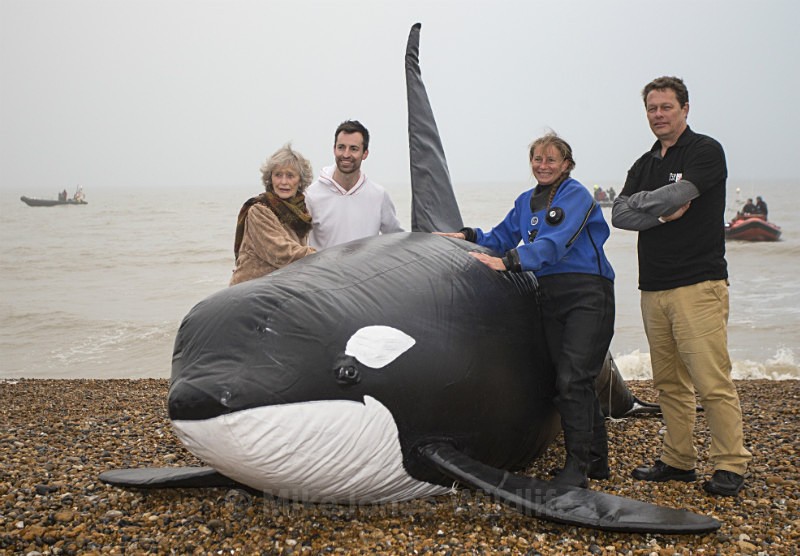 Virginia Mckenna OBE, Dylan Walker, Dr Ingrid Visser, Will Travers - INGRID VISSER Images from Whalefest 2014 in Brighton ' FREE MORGAN '