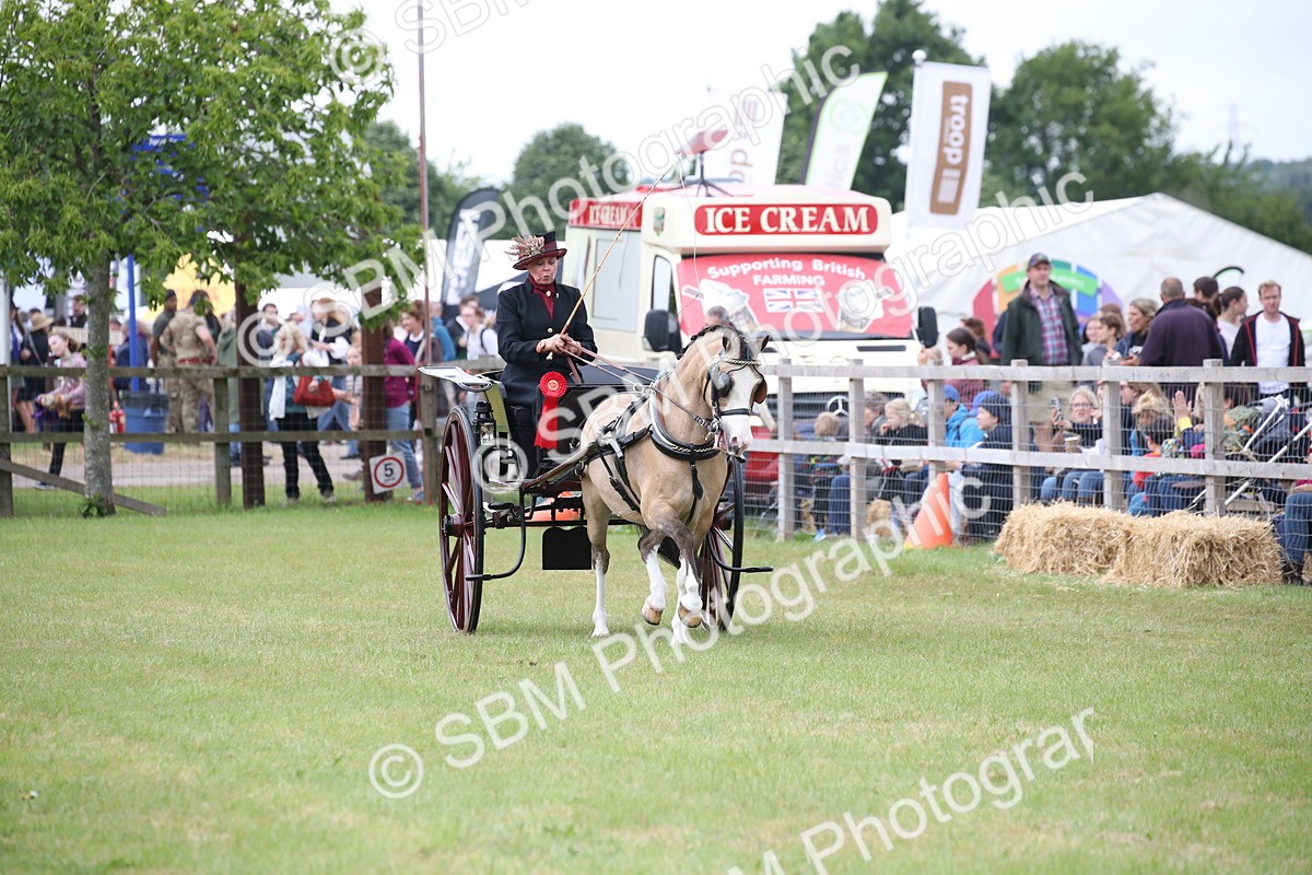 SBM_05870 - Class 12-15 - HOYS Private Driving