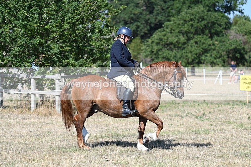 WJ7_3404 - Class 9 Mountain & Moorland Ridden