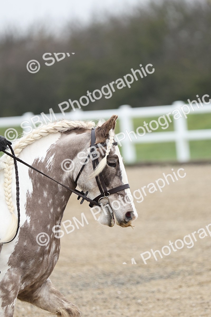 SBM_000166 - Class 1-9 - Intro 2