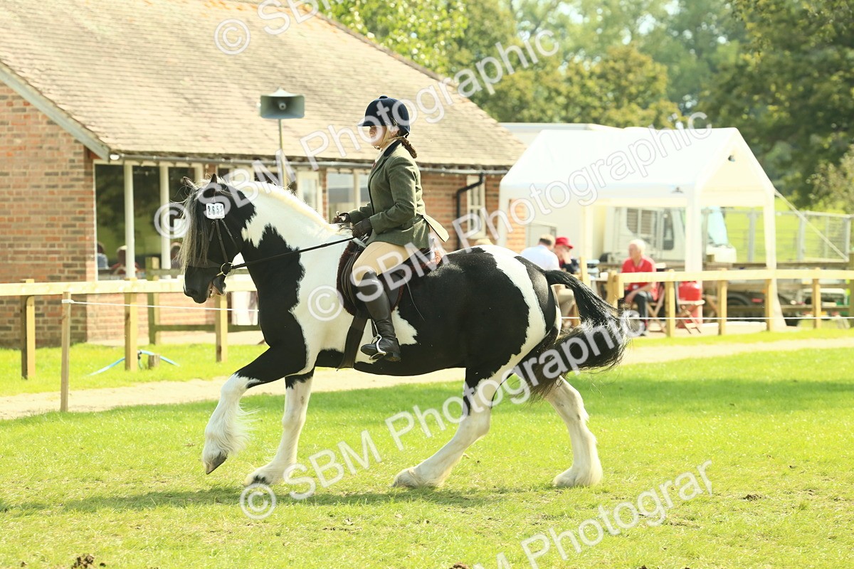 SBM_68812 - S58 - Mini Show Cob Ridden