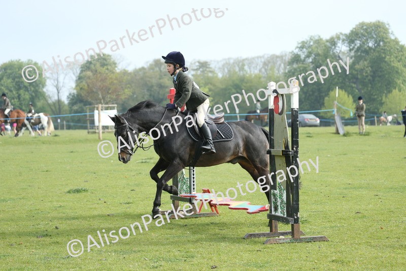 20260426-0009 - Class 13 - Rookie Jumping 50cm