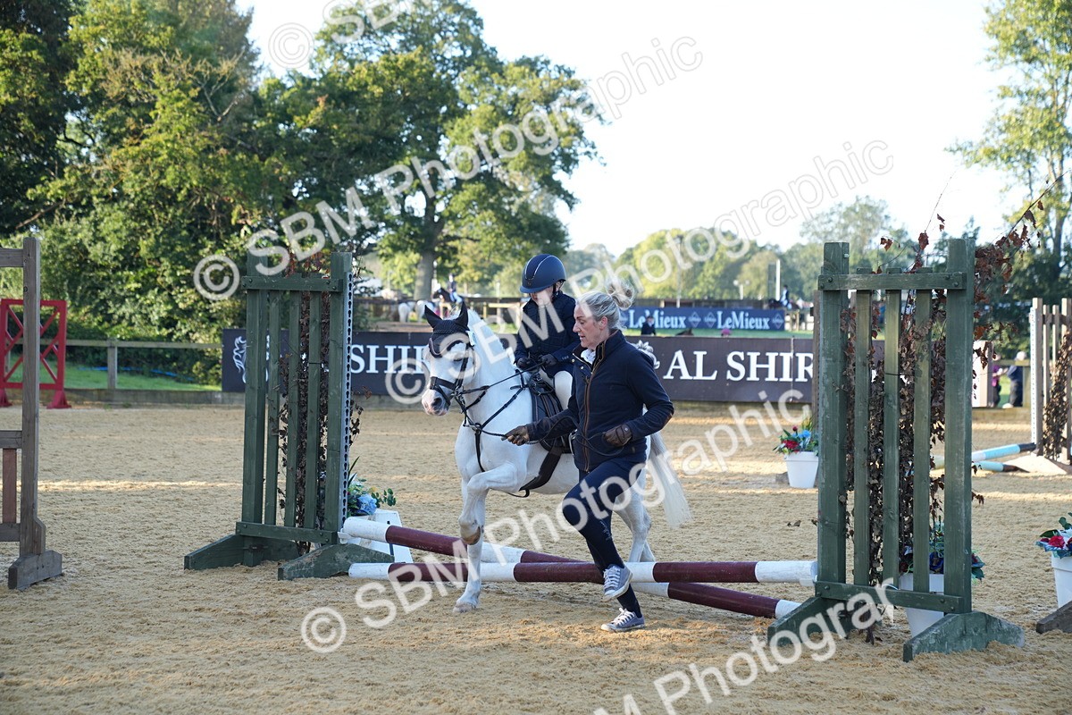 SBM_58974 - J63 - Minis Clear Round 30cm 40cm