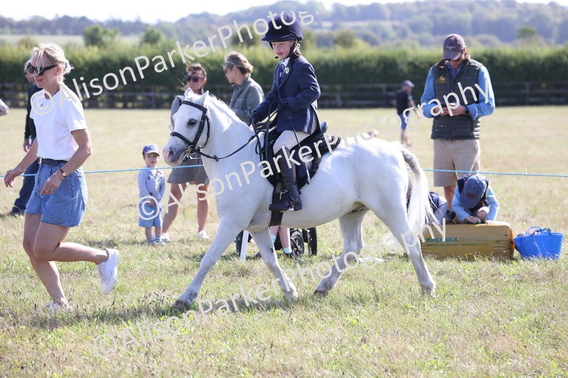 20260906-2212 - Class 16 - Family Pony